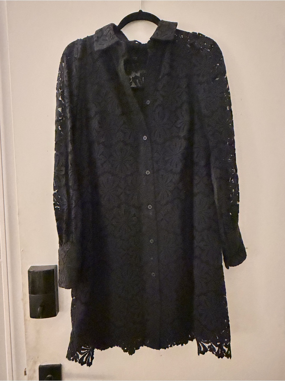 Whistles Black Lace Long-Sleeve Button Dress